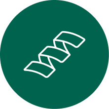 DNA icon