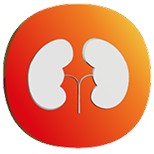 Kidneys Icon