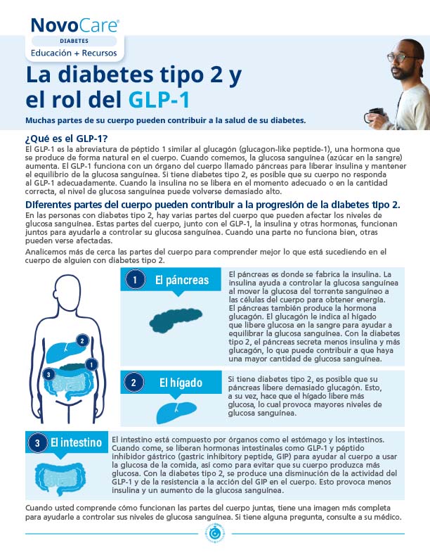 Type 2 Diabetes and the Role of GLP-1 – Spanish