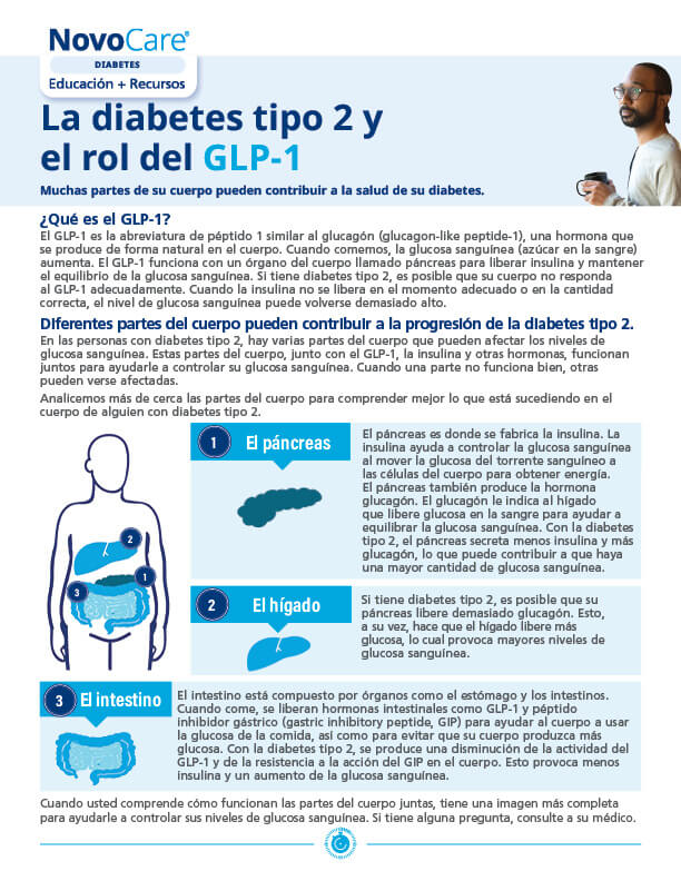 Type 2 Diabetes and the Role of GLP-1 – Spanish