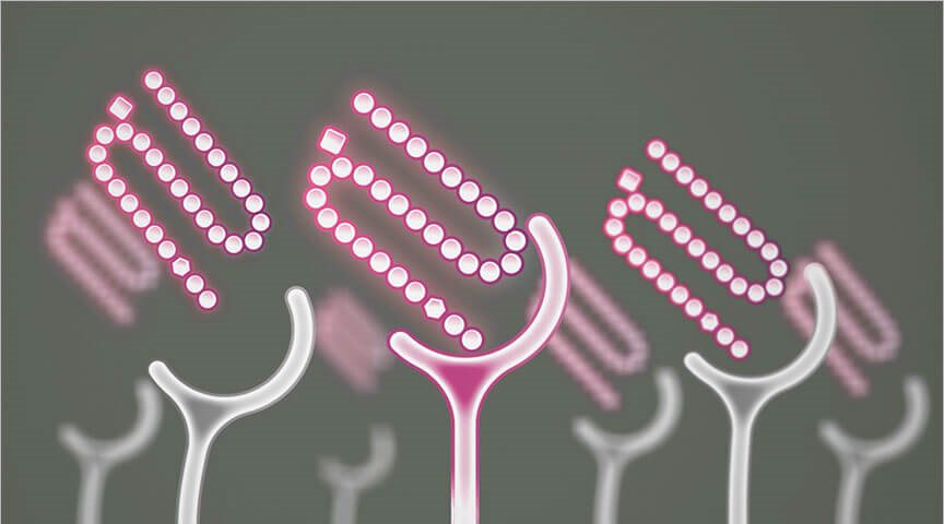 Victoza® Mechanism of Action