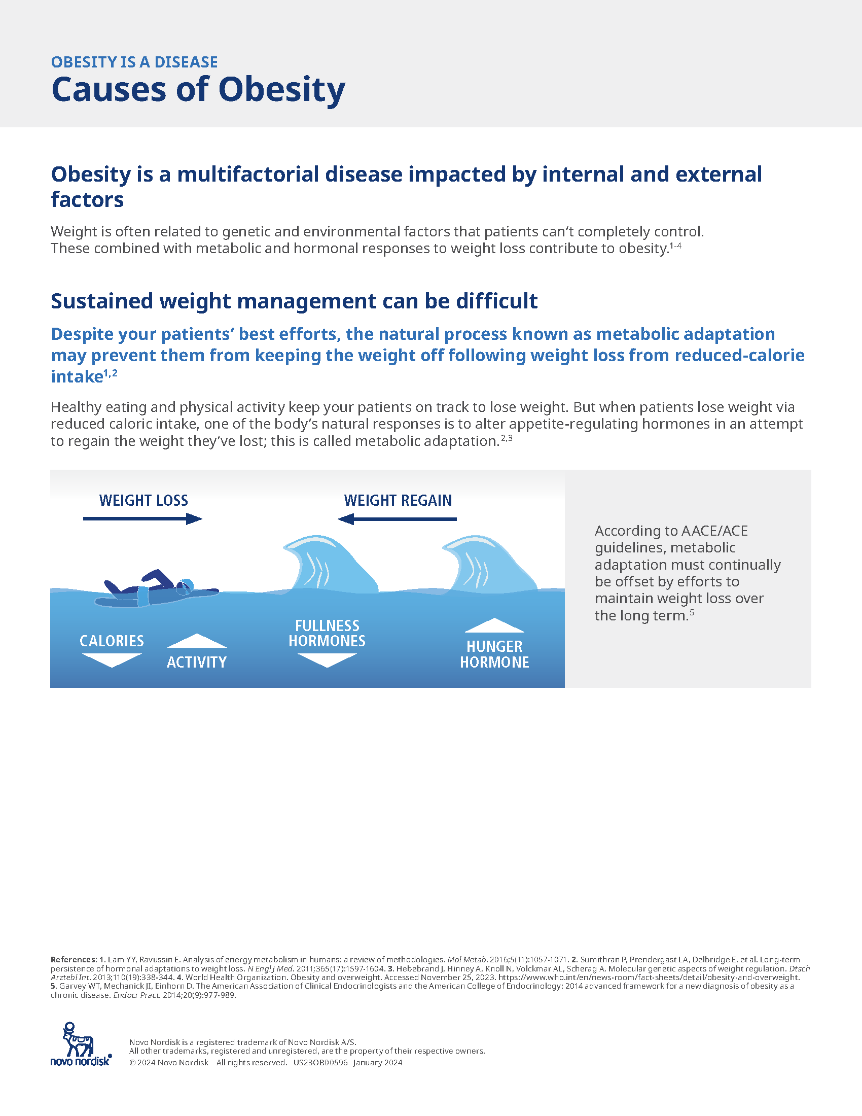 Causes of Obesity
