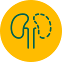 Liver icon
