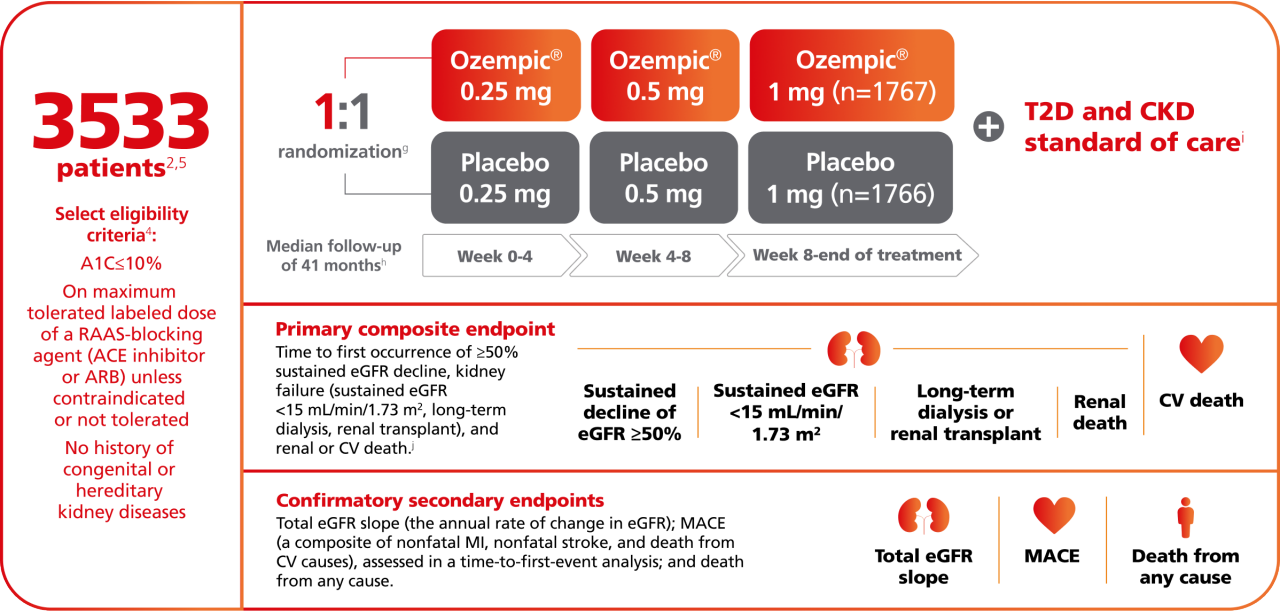 FLOW kidney outcomes study design information