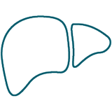 Liver icon