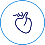 Blue anatomical heart icon