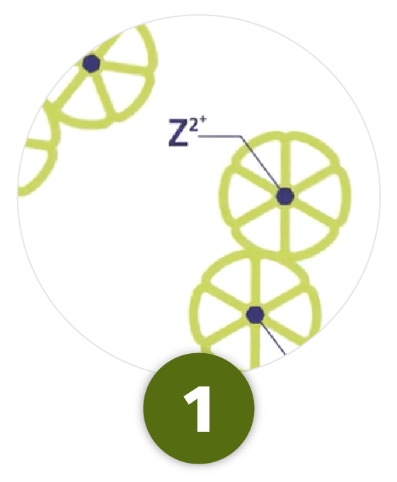 How Tresiba® works; prior to injection