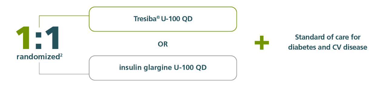 1 to 1 randomized study in DEVOTE