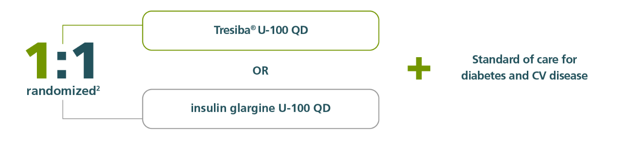 Tresiba® U-100 QD vs insulin glargine U-100 QD - 1 to 1 randomized study in DEVOTE