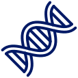 Icon of DNA, representing the genetic factors that affect obesity