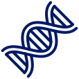 Genetic factors in obesity Icon of DNA, representing the genetic factors that affect obesity