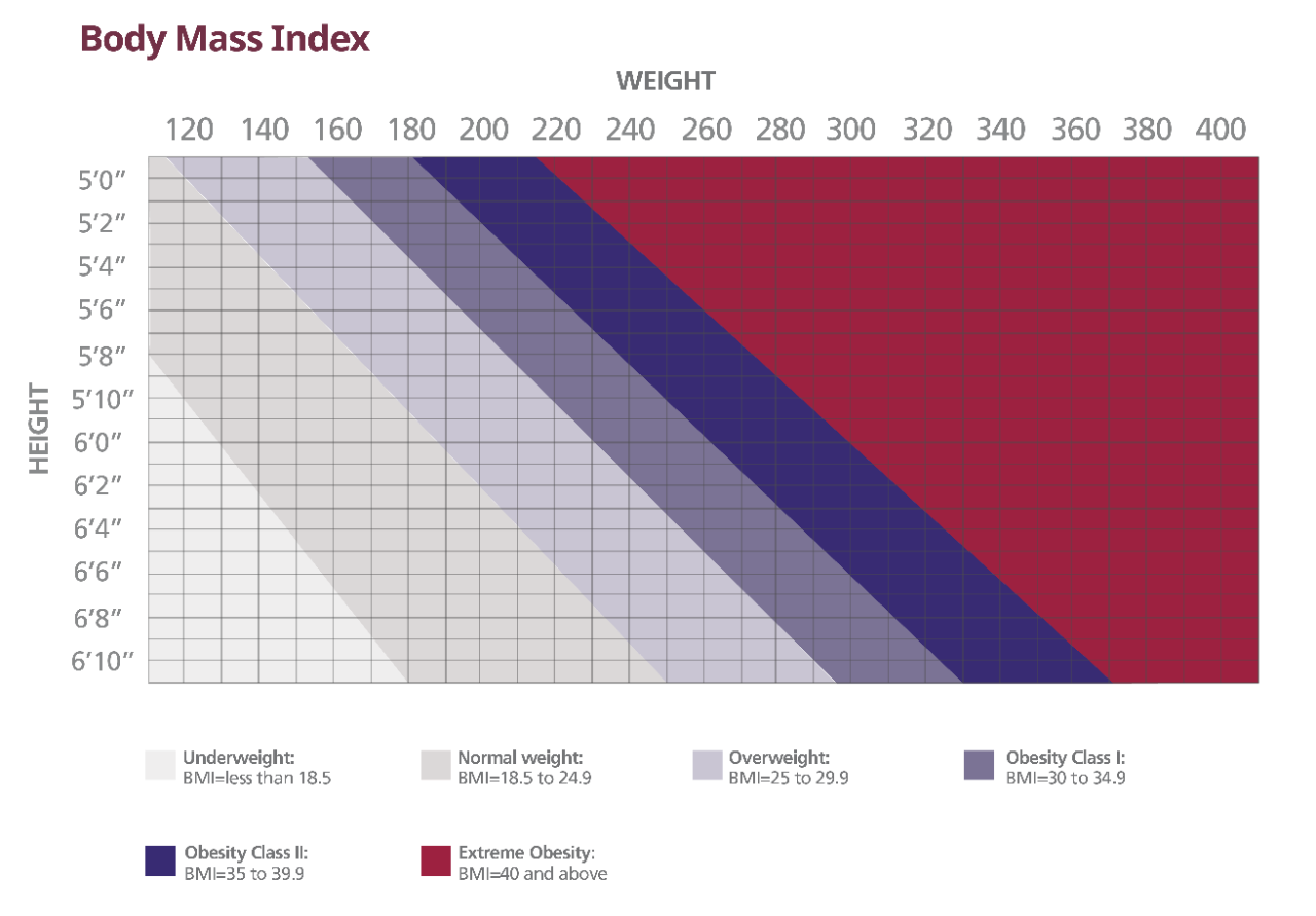 Body Mass Index chart