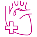 Pink heart icon
