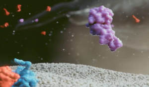 Esperoct® mechanism of action