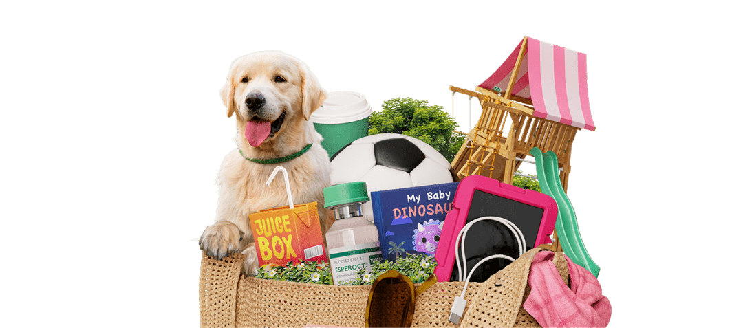 Bag with dog and activities