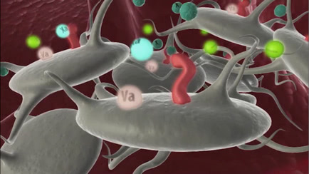 Rare bleeding disorders patient education