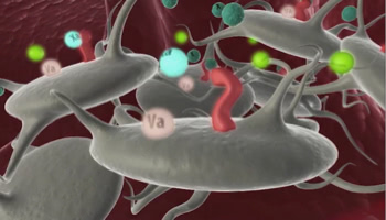 NovoSeven® RT mechanism of action