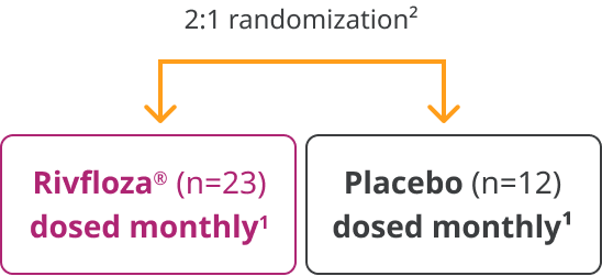 Randomization chart Randomization chart
